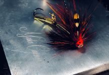 Maki Caenis 's Fly-tying for Salmo salar - Image | Fly dreamers 