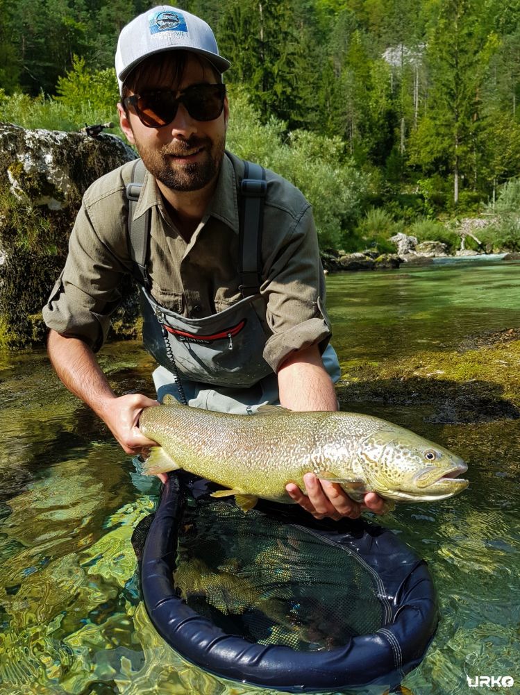 Marble trout, probably every fly fisherman's goal coming to Slovenia, season for this elusive species starts on 1st of April.