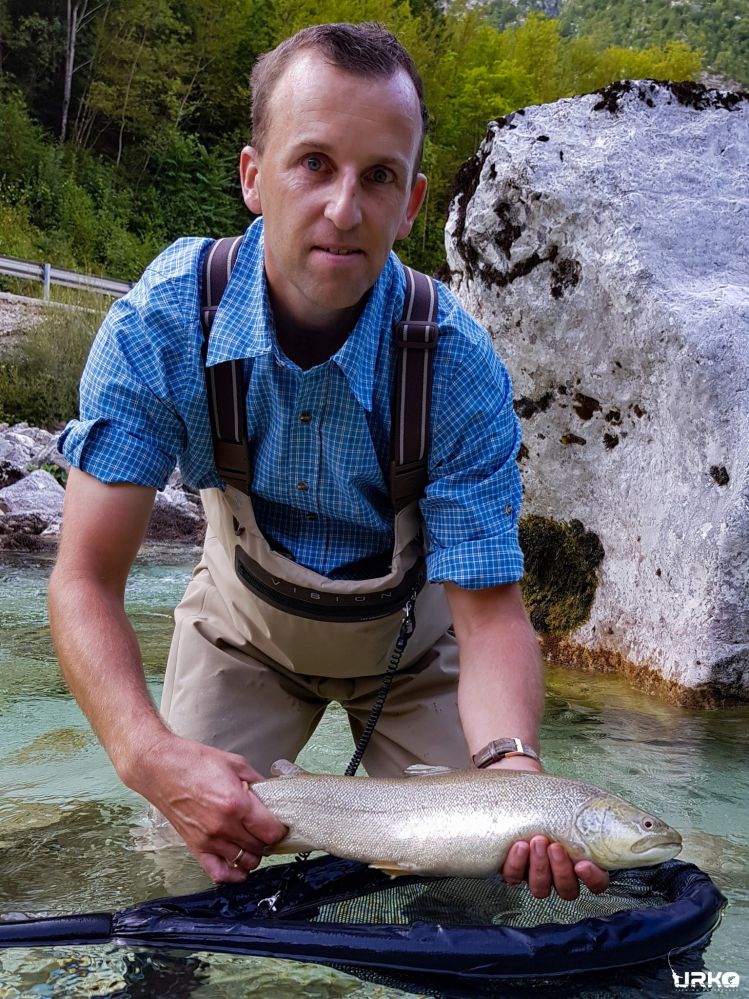 Marble trout on a dry fly from the Soča River by Cornelis 