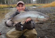 PABLO GENTILE 's Fly-fishing Picture of a English trout | Fly dreamers 