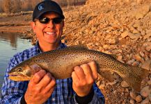 Mark Greer 's Fly-fishing Catch of a Greenback cutthroat | Fly dreamers 
