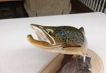 Gaylen Ware's Cool Fly-fishing Art Photo | Fly dreamers 