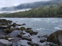 Fly fishing picture