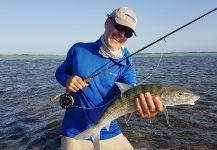 Peacock Fly  Fishing Trips 's Fly-fishing Pic of a Bonefish | Fly dreamers 
