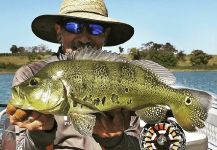 Fly-fishing Photo of Peacock Bass shared by Kid Ocelos | Fly dreamers 