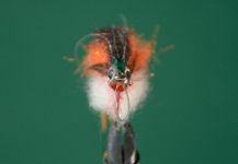  Fotografía de atado de moscas para Tararira por Luis Aceredo | Fly dreamers 