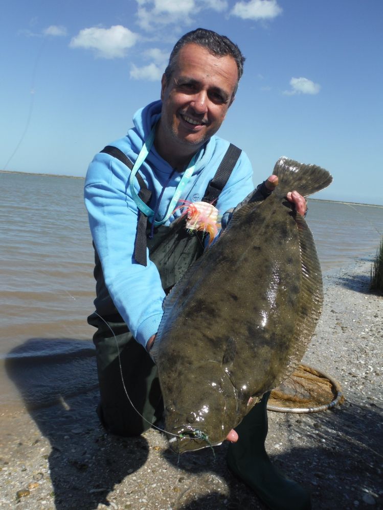 Lenguado pescado en la Albufera de Mar Chiquita con caña 7/8 línea de flote y Clouser Minnow verde/rojo en anzuelo 2/0