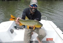 Dorados Fly-fishing Situation – Marcos Alberto Artigues shared this Pic in Fly dreamers 