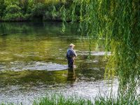 Fly fishing on Cetina