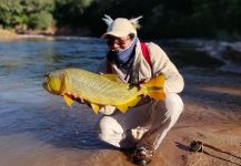 Fly-fishing Image of Tiger of the River shared by Néstor Zapana | Fly dreamers