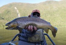 Fly Fishing Futaleufu 's Fly-fishing Pic of a Brown trout | Fly dreamers 