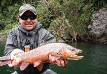 Fly-fishing Picture of Browns shared by Matapiojo  Lodge | Fly dreamers