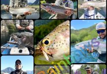 Matapiojo  Lodge 's Fly-fishing Photo of a Rainbow trout | Fly dreamers 