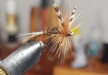 Fly-tying for Rainbow trout - Photo by Tomás Monío | Fly dreamers 