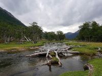 Foto de pesca con mosca