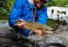 Great Fly-fishing Situation of Rainbow trout - Picture shared by Uros Kristan - URKO Fishing Adventures | Fly dreamers