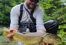 Fly-fishing Situation of European brown trout shared by Uros Kristan - URKO Fishing Adventures 