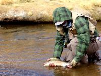 Fly fishing picture