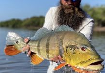  Situación de Pesca con Mosca de Tucunare - Pavón – Por Afloat Fishing en Fly dreamers