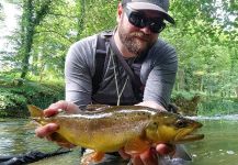 Sweet Fly-fishing Situation of European brown trout - Image shared by Uros Kristan - URKO Fishing Adventures | Fly dreamers