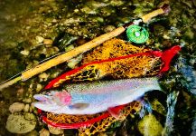 Fly-fishing Pic of Rainbow trout shared by Maki Caenis | Fly dreamers 
