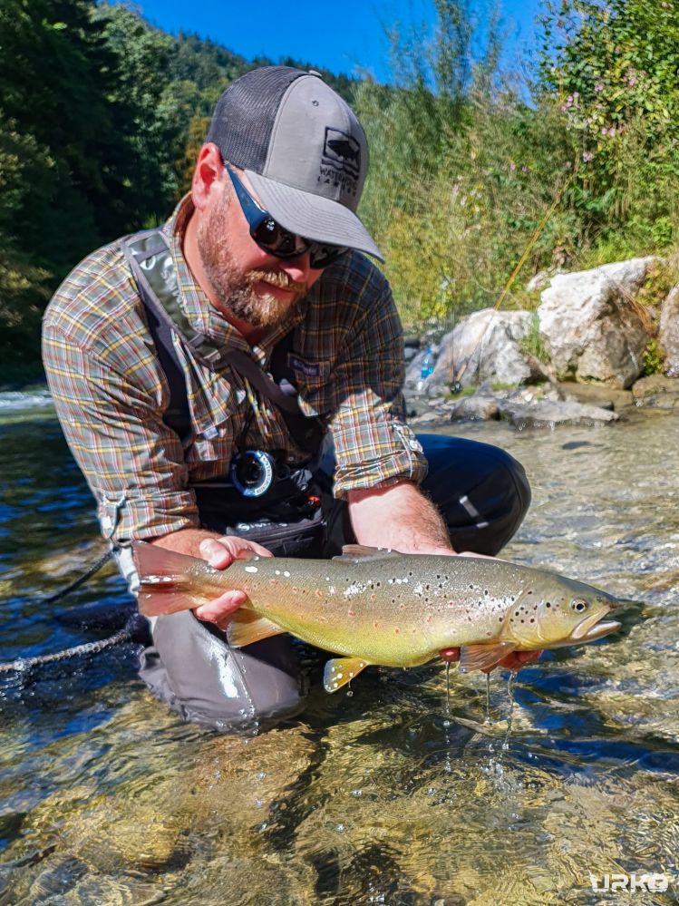 What a year for my favorite trout species, brown trout