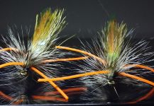 Damian Puelpan 's Fly-tying for Rainbow trout - Image | Fly dreamers 