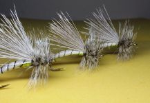 Fly-tying for Marrones - Pic by Damian Puelpan 