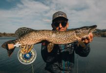  Foto de Pesca con Mosca de Lucio por Luka Šimunjak | Fly dreamers 
