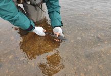  Foto de Pesca con Mosca de mud trout por NICOLAS MONGE | Fly dreamers 