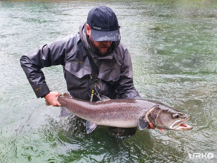 A few days ago, in heavy rain, the first trophy hucho hucho of the 2020/21 season was landed. This beast of the fish measured way over 1m and had more than 10kg.