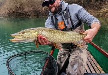 Interesting Fly-fishing Situation of Pike - Photo shared by Uros Kristan - URKO Fishing Adventures | Fly dreamers 