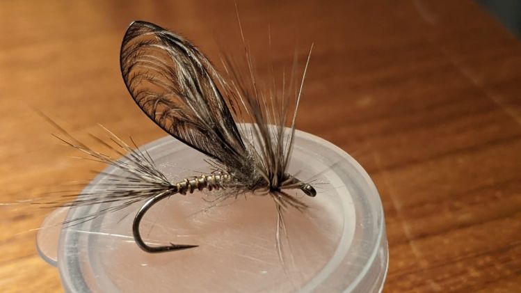 Oregami Winged Fly.....tail, wing, hackle all from Coq De Leon
