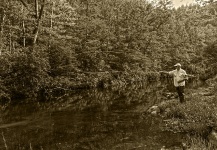 Fly-fishing Situation of Brook trout - Image shared by Alex Baker | Fly dreamers
