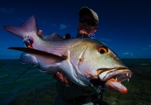 Fly-fishing Pic of Bohar - Two Spot Red Snapper shared by Peter McLeod | Fly dreamers 