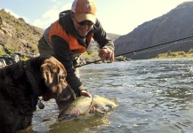 Scientific Anglers 's Fly-fishing Pic of a Steelhead | Fly dreamers 