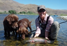 Fish and Dogs in the Pacific Northwest