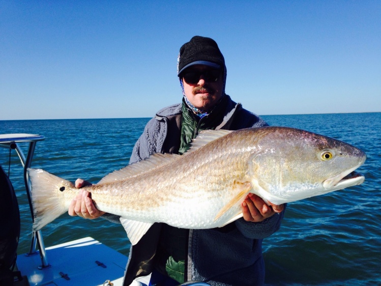 30# plus Redfish caught in the Louisiana marshes