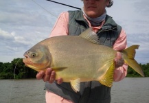 Alejandro Ballve 's Fly-fishing Photo of a Pacu | Fly dreamers 