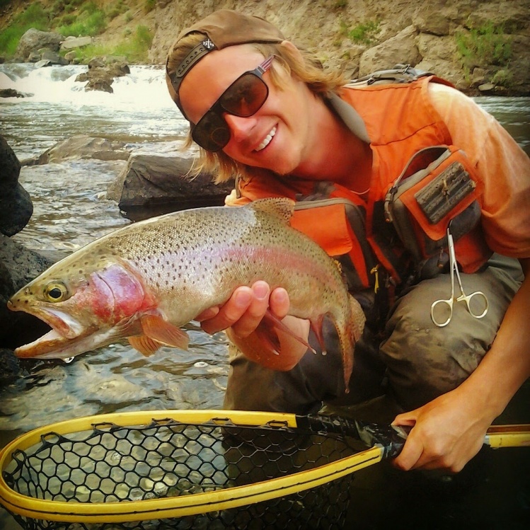 Hungry streamer eating bow from the Truckee river