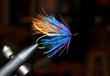 Fly for Steelhead - Photo shared by Sean Hall | Fly dreamers 