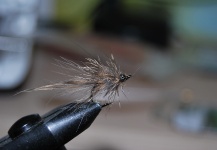 Nume Prenume 's Fly for Chub - Picture | Fly dreamers 