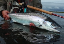 Kristinn Ingolfsson 's Fly-fishing Photo of a Atlantic salmon | Fly dreamers 