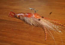 Mariano Ferrara 's Fly-tying for Whitemouth croaker - Photo | Fly dreamers 