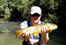 Fly-fishing Picture of Brown trout shared by Massimo Sodi | Fly dreamers