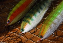 Fly for Pike - Picture shared by Bob Veverka | Fly dreamers