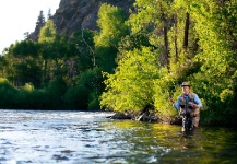 Why I Fly Fish: Introduction