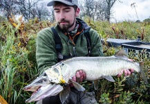 Fly-fishing Pic of Muskie shared by Scientific Anglers | Fly dreamers 