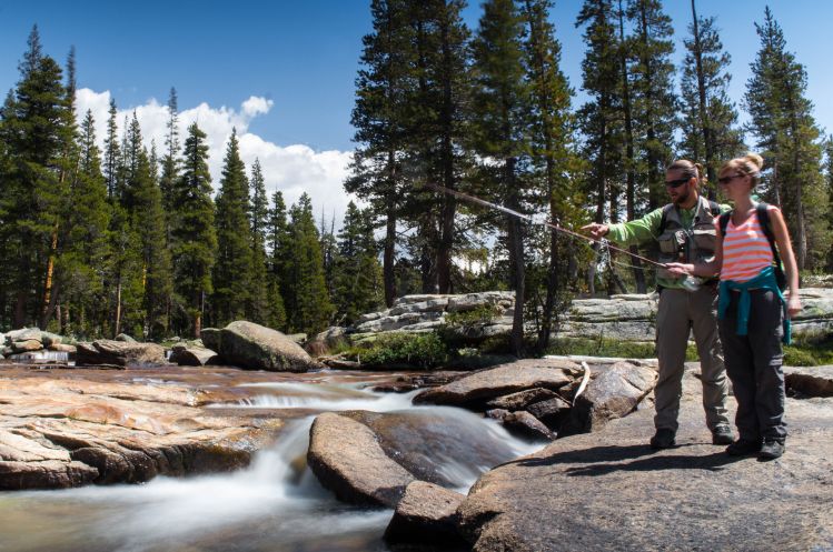 Fly fish Guiding in the high country of Yosemite