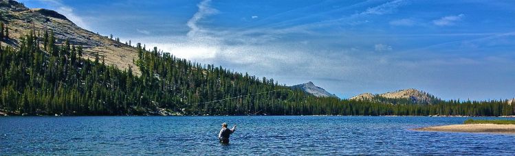 Fly fishing a high country lake in Yosemite National Park